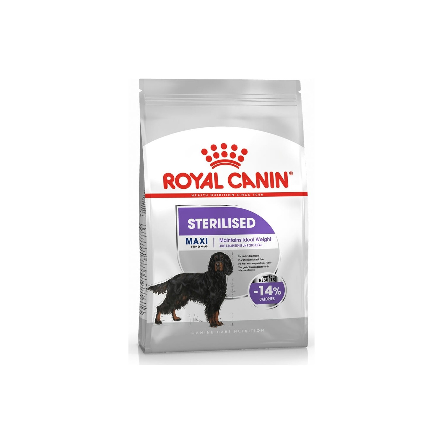 büyük ırk köpek maması