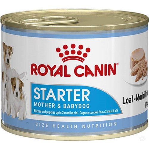 Royal Canin Starter Mousse Mother Babydog 195 Gr 12 Adet Ucuz Mama